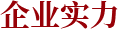 企業實力
